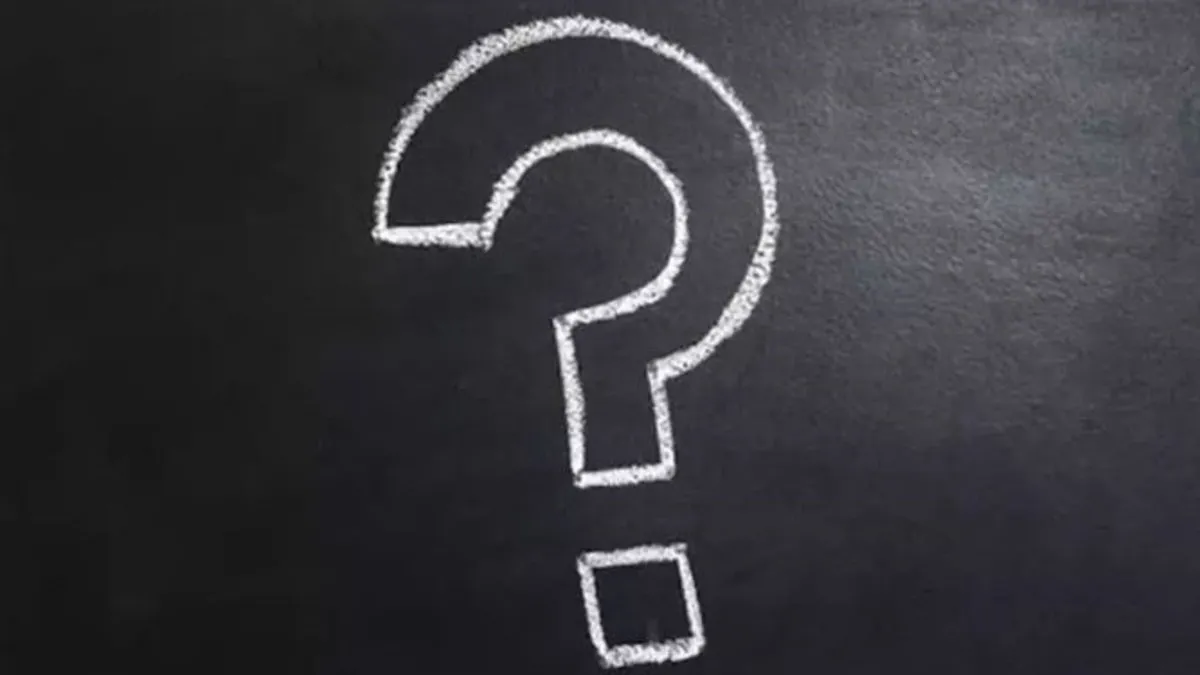 Hamam Böceği Uçar Mı? Hamam Böcekleri Uçabilir Mi?