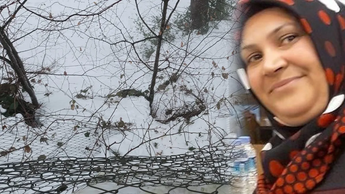 Tuğba Paloluoğlu kayak yaparken 5 metreden düşerek ölmüştü: İşletme sahibine verilen ceza pes dedirtti!