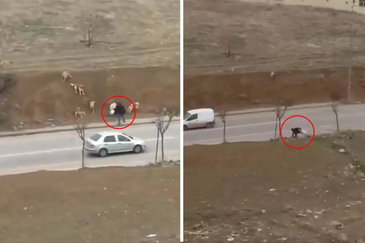 Başkent Ankara’da “İnsanlık ölmüş” dedirten görüntü