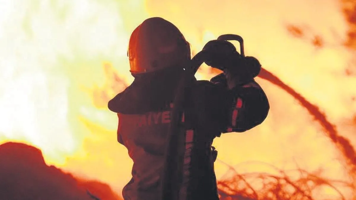 Bir yılda 3 bin 797 orman yangını söndürüldü