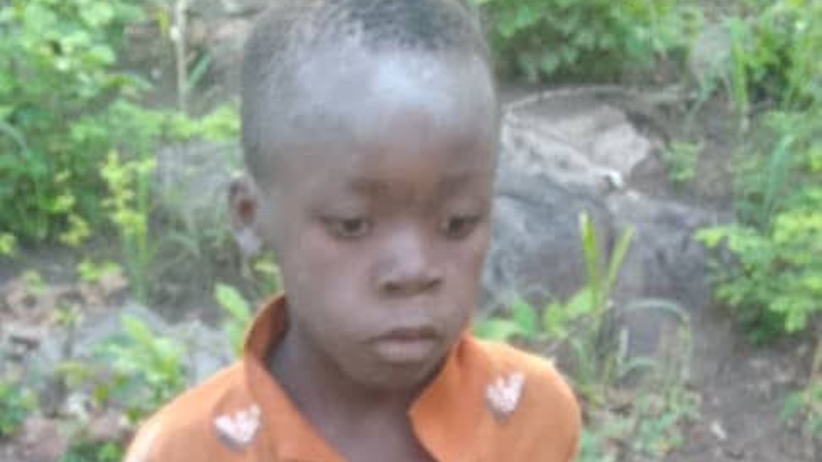 Zimbabve’de aslanların yaşadığı parkta kayboldu: 5 gün sonra bulundu